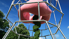 Stellarator