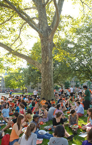students under tree