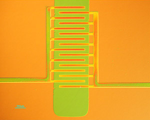 Loo lab image