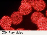 Lasers video thumbnail