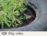 Weapons of Mass Construction video thumbnail