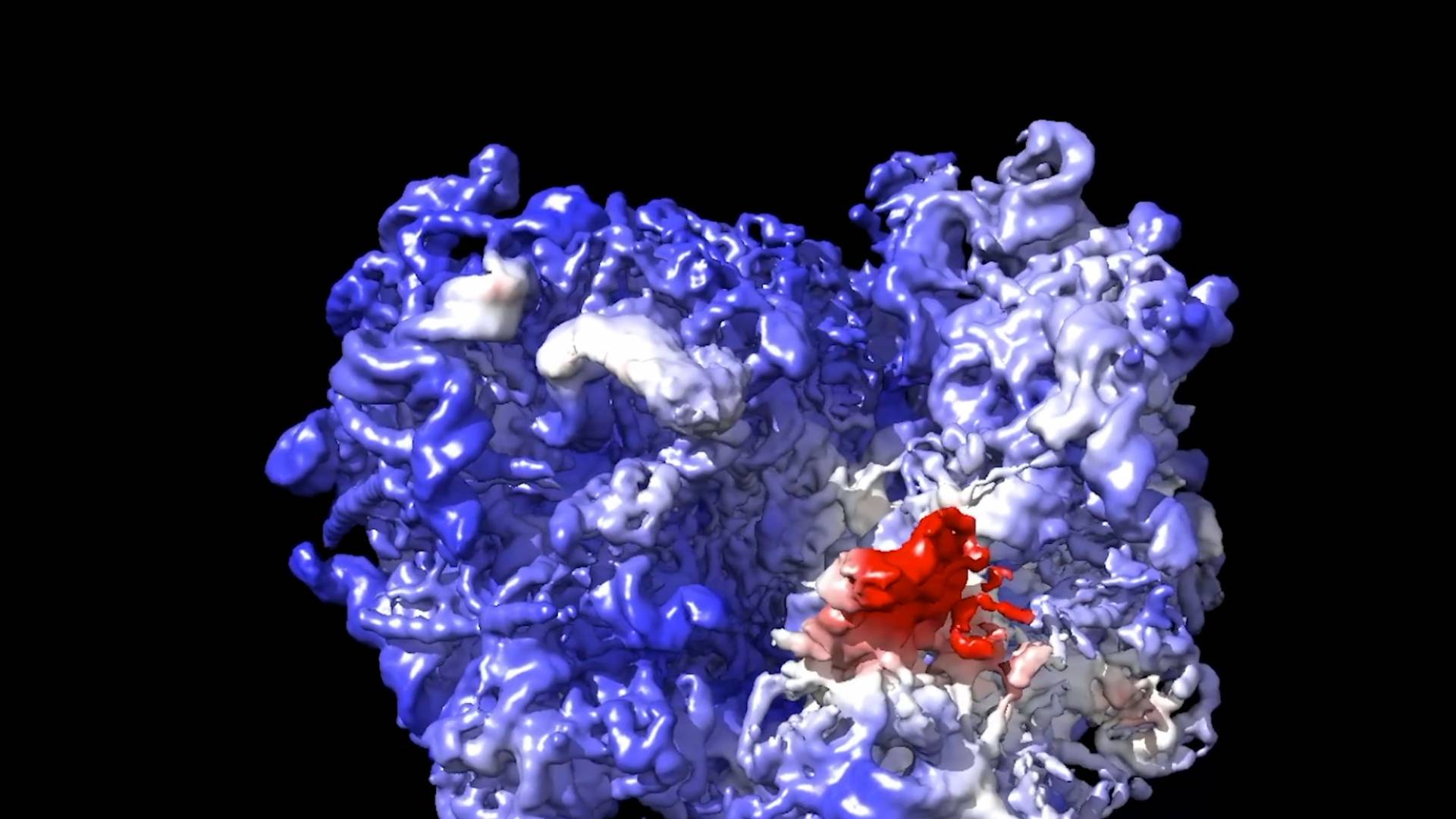 3D Protein
