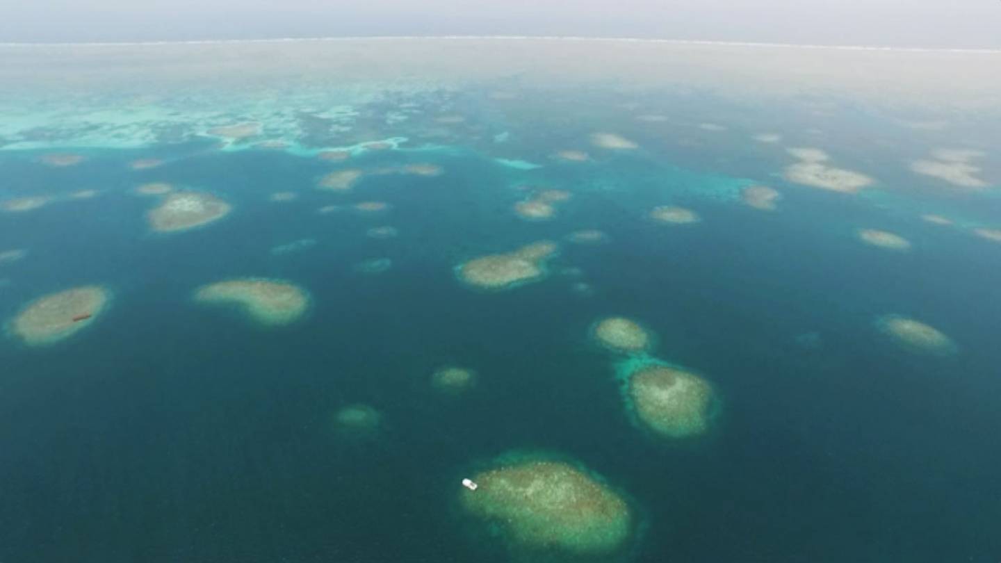 Dongsha Atoll video