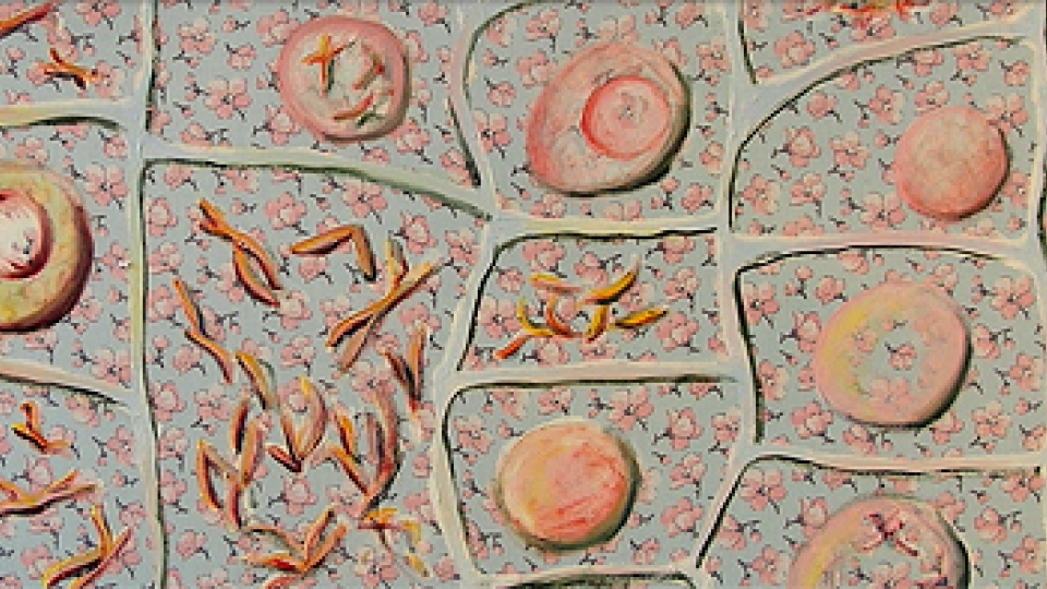 Mitosis