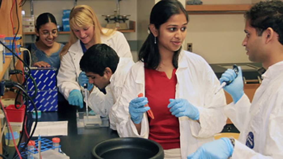 Weiss lab