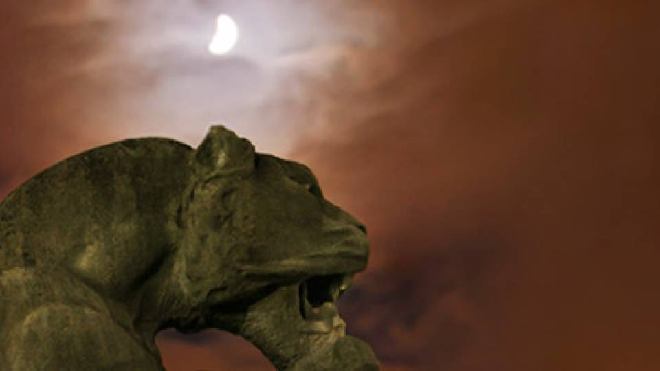 Gargoyles home
