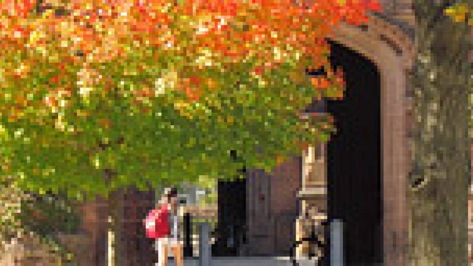 Fall colors multimedia