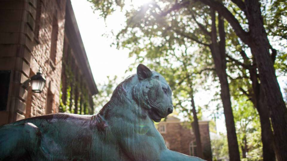 Tigers in front of Nassau Hall