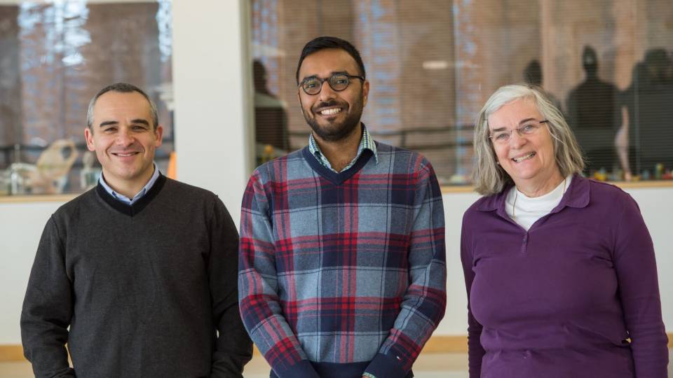Stanislav Shvartsman, Yogesh Goyal, Gertrud Schüpbach