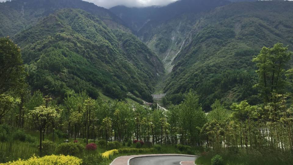 Forest in China