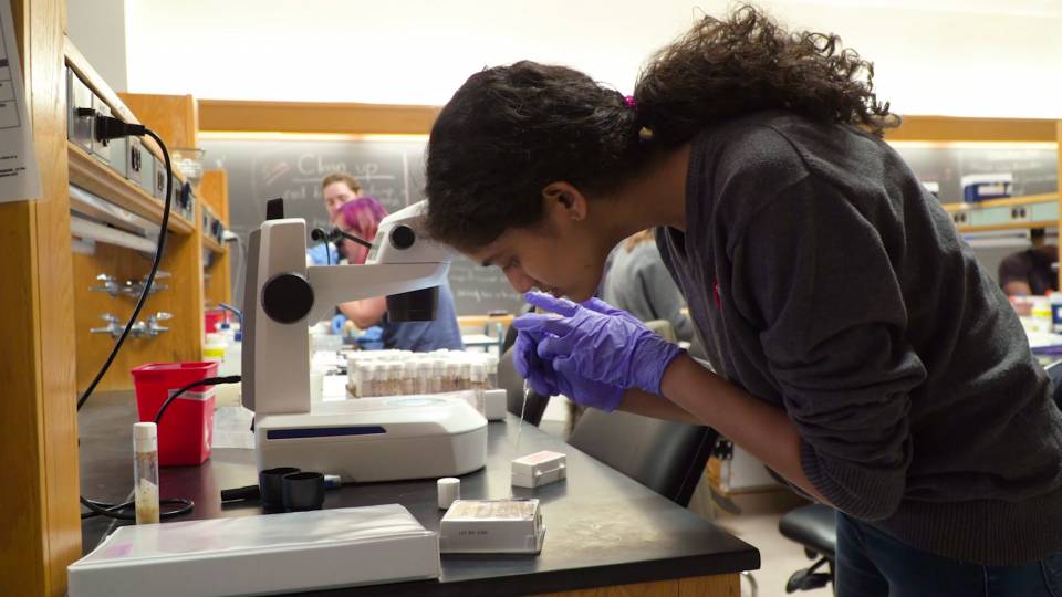 Student researching in lab
