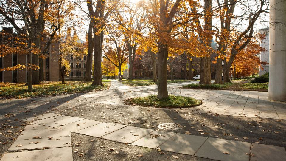 Leaves turn to autumn colors on campus