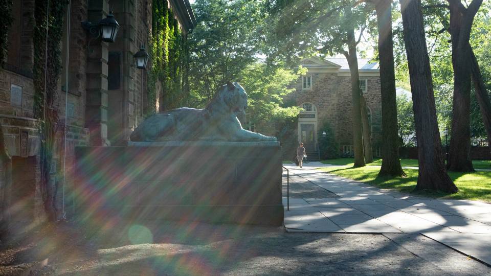 Nassau Hall tigers
