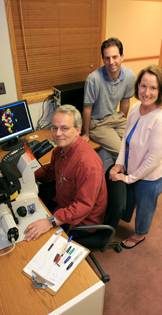Stem Cell Group