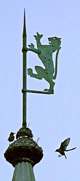 Tiger on spire