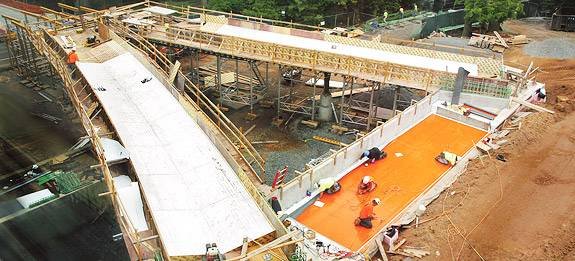 Streicker Bridge