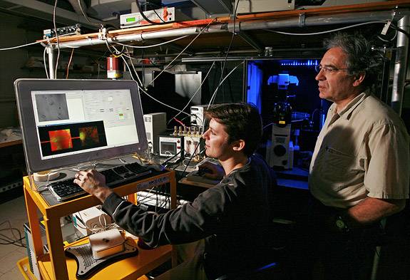 Guillaume Lambert and Robert Austin