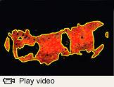 maloof play video thumbnail