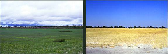 Kreike lands