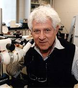 Malcolm Steinberg