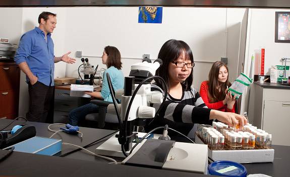 Andolfatto lab