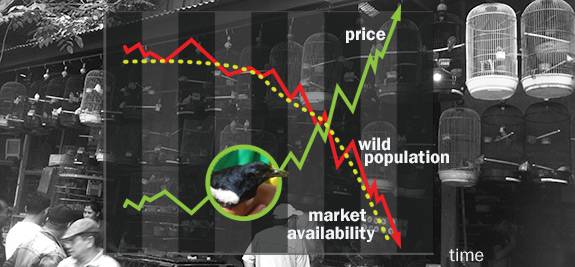 Wilcove_birdgraph