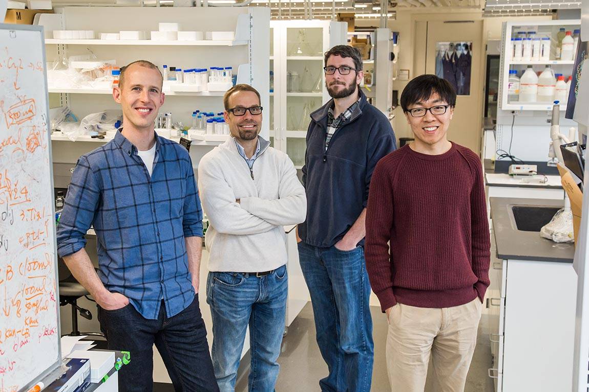 Optodroplets team