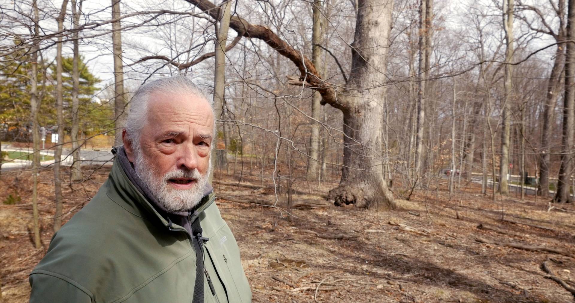 Henry Horn in woods