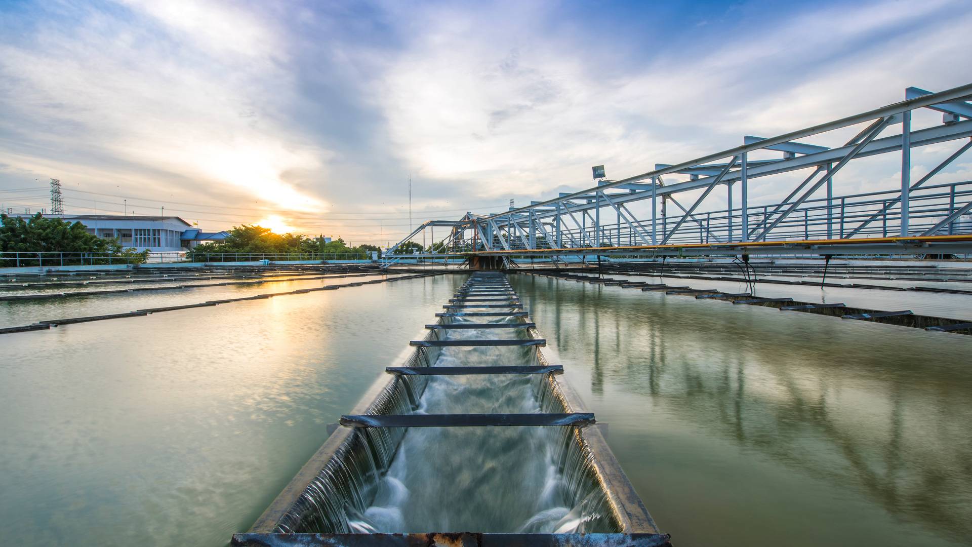 sewers at dawn