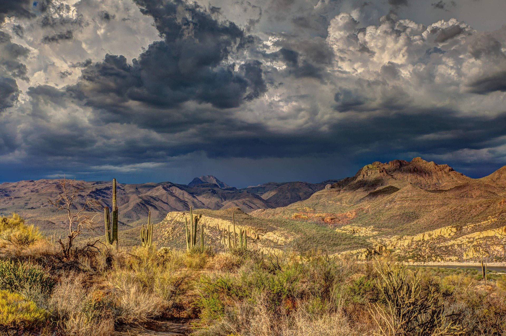 Desert landscape