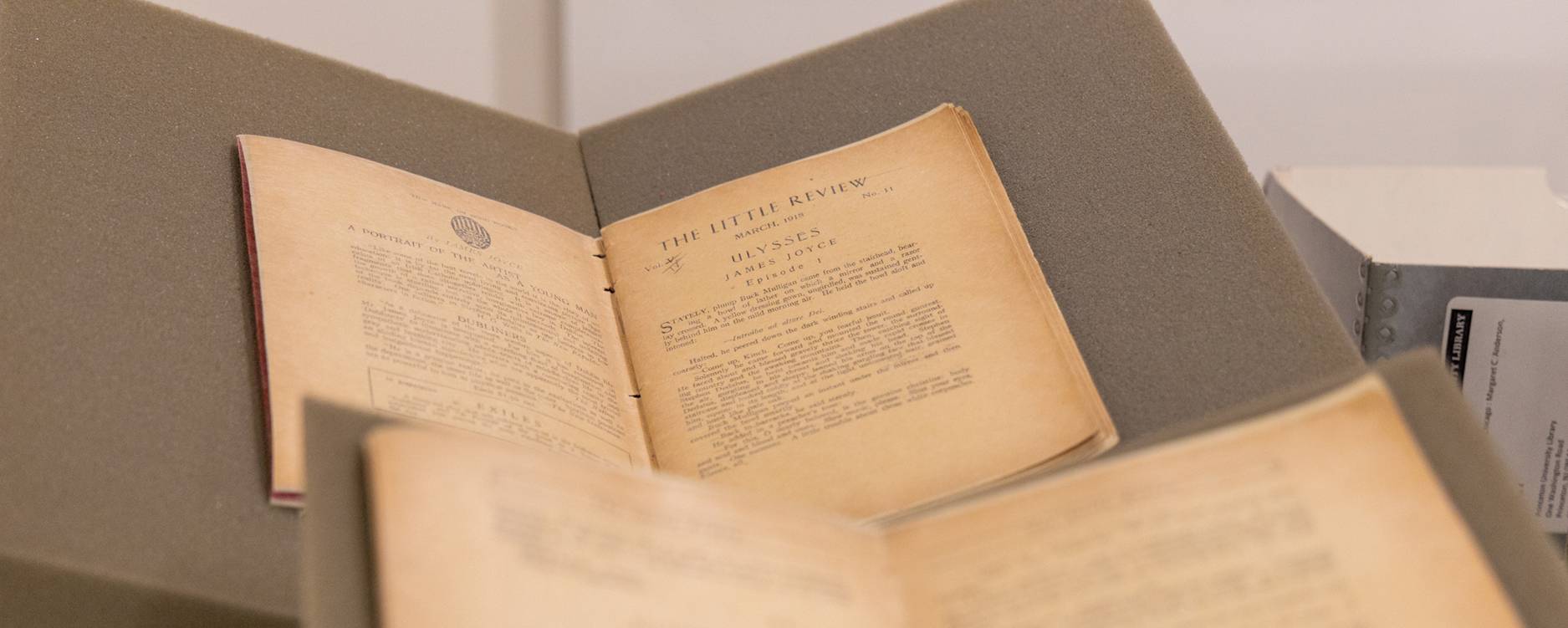 Pages from Ulysses