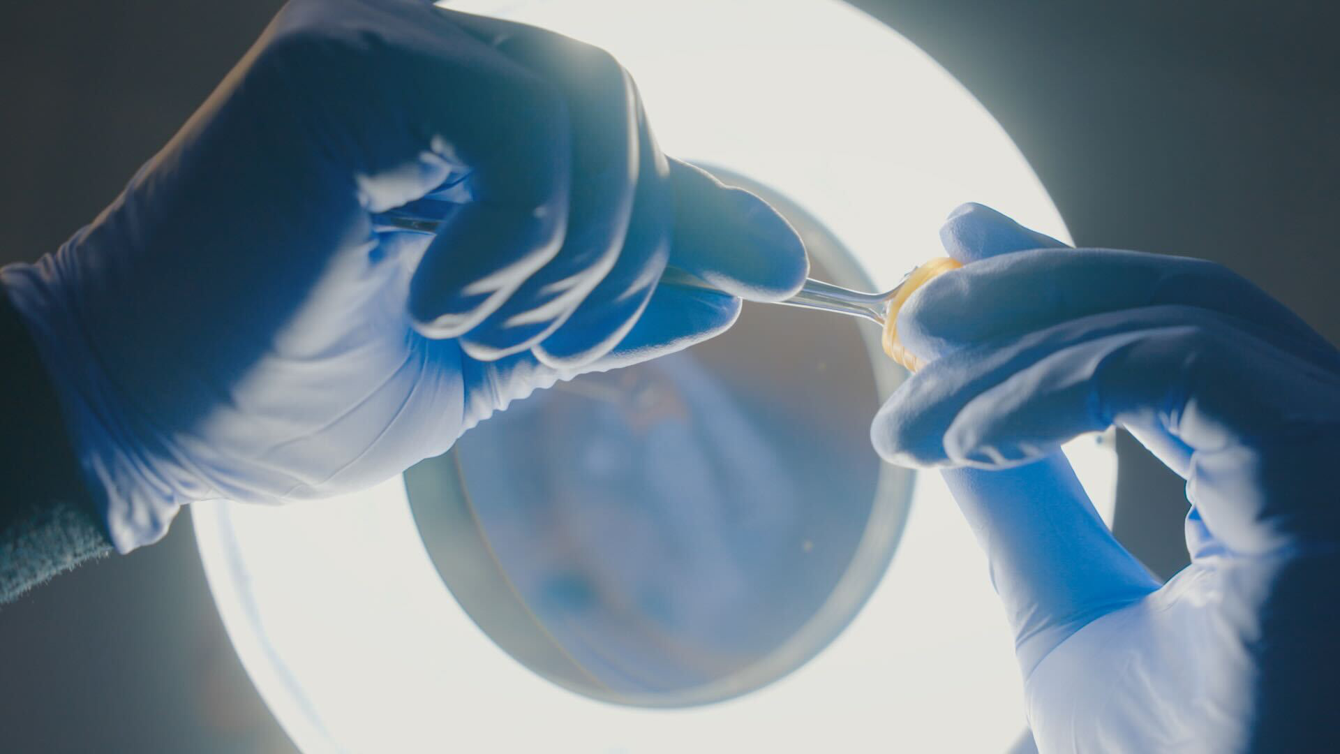 A close up of hands wearing gloves in a science lab. 