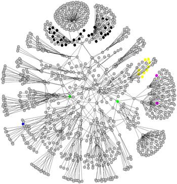 Network diagram