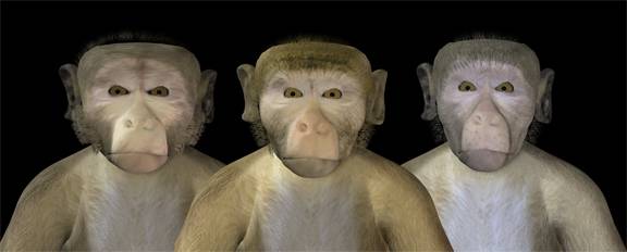 Uncanny valley
