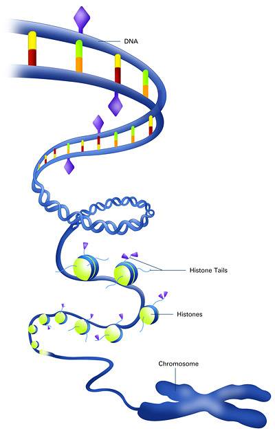 Invention graphic
