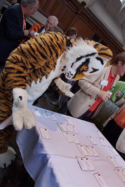 Reunions tiger