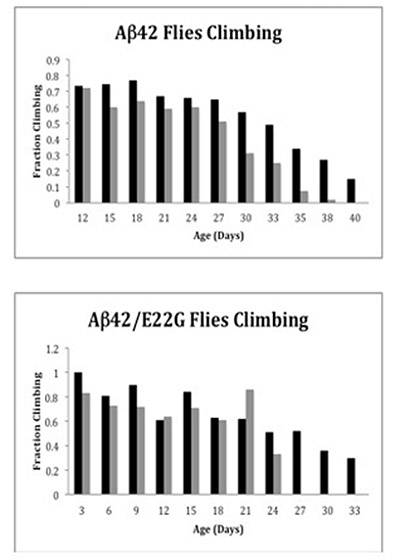 Hecht fig 8