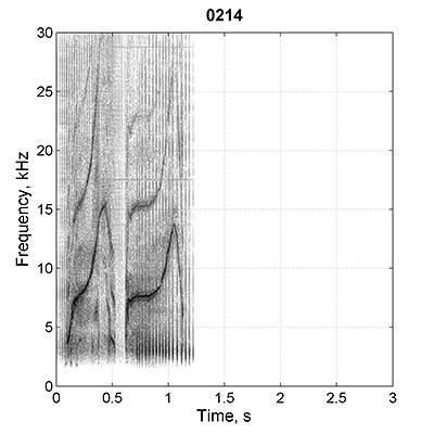 Dolphins graph